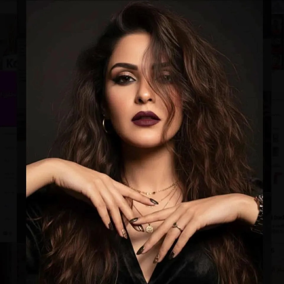 فنانة مصرية توجه نداء عاجلاً لوزارة الداخلية - فنانة مصرية - نيجار محمد - Egyptian actress - Nigar Mohamed