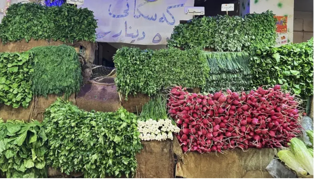 Kurdistan Region Strengthens Agricultural Presence in Iraqi Markets with Over One Million Tonnes Annually
